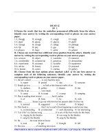 Đề thi học sinh giỏi môn Tiếng Anh (12)