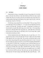 Nghiên cứu hệ thống chuyển đổi năng lượng sóng biển thành năng lượng điện