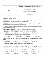 Đề kiểm tra 1 tiết môn Lịch sử lớp 9 trường THCS Tân Thành năm học 2012  2013