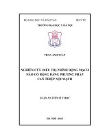 Nghiên cứu điều trị phình động mạch não cổ rộng bằng phương pháp can thiệp nội mạch (FULL TEXT)