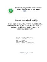 Báo cáo thực tập tốt nghiệp MỘT SỐ GIẢI PHÁP NÂNG CAO HIỆU QUẢ HOẠT ĐỘNG TÍN DỤNG TRUNG VÀ DÀI  HẠN TẠI NHTMCP XUẤT NHẬP KHẨU VIỆT NAM CHI NHÁNH CHỢ LỚN