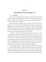 Thực tiễn và giải pháp vận dụng giá trị hợp lý trong doanh nghiệp Việt Nam theo chuẩn mực kế toán quốc tế