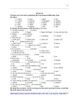 Đề thi học sinh giỏi môn Tiếng Anh (10)