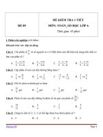 Đề kiểm tra 1 tiết môn Toán lớp 6 - Đề (89)