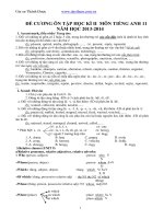 Ôn thi tiếng anh 11 cực hay