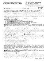 Đề Thi thử  Đại Học Vật lý 10 lần 2 năm 2014 THPT chuyên Lương Văn Tụy (4)