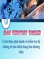Cách thức phát hành và kiểm tra bộ chứng từ bảo hiểm hàng hóa đường biển