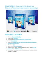 MASCOTBLU  Review – (Truth) of MASCOTBLU  and Bonus