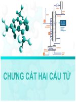 CHƯNG CẤT HAI CẤU TỬ