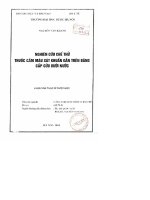 Nghiên cứu chế thử thuốc cầm máu sát khuẩn gắn trên băng cấp cứu dưới nước