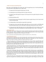 8 Loại Hình Trí Thông Minh Và phương pháp nuôi dạy trẻ Shichida