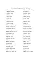 New words about Occupations And Jobs