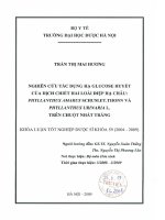 Nghiên cứu các tác dụng hạ glucose huyết của dịch chiết hai loài diệp hạ châu phyllanthus amarus schum et thonn và phyllanthus urinaria l  trên chuột nhắt trắng