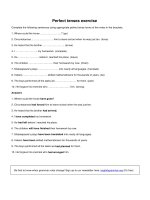 Perfect tenses exercise