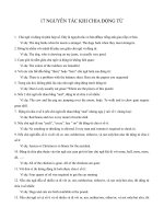 17 nguyên tắc khi chia động từ