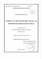 Nghiên cứu chế thử hệ điều trị qua da dehydroepiandrosteron (DHEA)