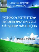 VẬN DỤNG CÁC NGUYÊN LÝ KHOA HỌC MÔI TRƯỜNG VÀO SẢN XUẤT XUẤT SẠCH HƠN NGÀNH THUỘC DA