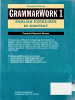 Grammar Work 1 English exercises in context