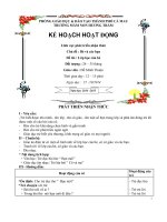 Giáo án Lĩnh vực phát triển nhận thức - Đỗ Minh Thuật