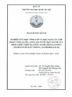 Nghiên cứu độc tính cấp và khả năng ức chế hoạt tính alpha amylase nước bọt người của dịch chiết diệp hạ châu xanh (phyllanthus amarus schum et thonn ,euphorbiacear)