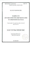 Nghiên cứu lên men sinh tổng hợp kháng sinh từ streptomyces SP 40 16