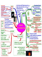 Sơ đồ tư duy lí 12 (sưu tầm) CHƯƠNG 10 VI mô