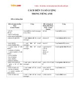 Cách diễn tả về số lượng trong Tiếng Anh