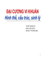 ĐẠI CƯƠNG VI KHUẨN-Hình thể, cấu trúc, sinh lý, ĐẠI HỌC Y TẾ CÔNG CỘNG