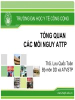 TỔNG QUAN CÁC MỐI NGUY ATTP, THS.LƯU QUỐC TOẢN, ĐẠI HỌC Y TẾ CÔNG CỘNG
