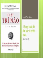 luật trí não 12 quy luật phát triển tồn tai ở nơi làm việc ở nhà và trường học