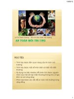 AN TOÀN MÔI TRƯỜNG, LÊ THỊ THANH HƯƠNG, BỘ MÔN SỨC KHỎE MÔI TRƯỜNG