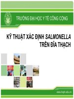 KỸ THUẬT XÁC ĐỊNH SALMONELLA TRÊN ĐĨA THẠCH, ĐẠI HỌC Y TẾ CÔNG CỘNG