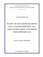 Tổ chức kế toán chi phí môi trường cho các doanh nghiệp rượu   bia   nước giải khát trong vùng kinh tế trọng điểm phía nam