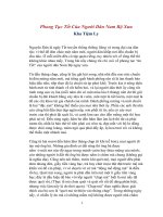 Phong Tục Tết Của Người Dân Xứ Nam Bộ