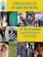 LƯỢNG GIÁ NGUY CƠ SỨC KHỎE MÔI TRƯỜNG, THS. TRẦN THỊ TUYẾT HẠNH, ĐẠI HỌC Y TẾ CÔNG CỘNG