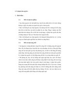 Tiểu luận Vấn đề vi phạm bản quyền ở Việt Nam, thực trạng và giải pháp