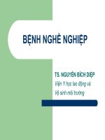 BỆNH NGHỀ NGHIÊP, TS.NGUYỄN BÍCH HIỆP, VIỆN Y HỌC LAO ĐỘNG VÀ VỆ SINH MÔI TRƯỜNG