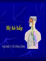 HỆ HÔ HẤP, ĐẠI HỌC Y TẾ CÔNG CỘNG