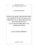 Đánh giá mức độ hữu hiệu hệ thống kiểm soát nội bộ với mục tiêu báo cáo tài chính tin cậy trong điều kiện ứng dụng phần mềm kế toán của các doanh nghiệp nhỏ và vừa trên địa bàn TPHCM