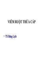 VIÊM RUỘT THỪA CẤP, TS ĐẶNG LỊCH, BỆNH VIỆN HỮU NGHỊ