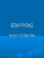 BỆNH PHONG, ĐẠI HỌC Y TẾ CÔNG CỘNG