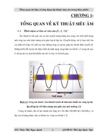 Tổng quan tài liệu về ứng dụng kỹ thuật siêu âm trong công nghệ thực phẩm