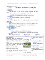 Tiết 15  Hóa 9  Một số muối quan trọng