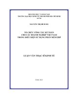 Tổ chức công tác kế toán cho các doanh nghiệp việt nam trong điều kiện sử dụng phần mềm ERP