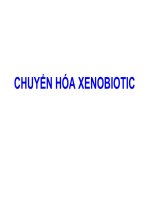 CHUYỂN HÓA Xenobiotic, ĐẠI HỌC Y TẾ CÔNG CỘNG