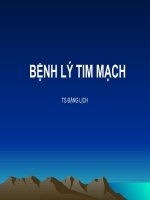 BỆNH LÝ TIM MẠCH, TS ĐẶNG LỊCH, BỆNH VIỆN HỮU NGHỊ