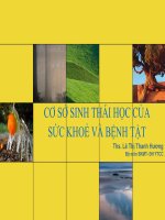 CƠ SỞ SINH THÁI HỌC CỦA SỨC KHỎE VÀ BÊNH TẬT, THS. LÊ THỊ THANH HƯƠNG, ĐẠI HỌC Y TẾ CÔNG CỘNG