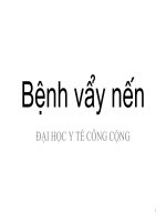 BỆNH VẨY NẾN, ĐẠI HỌC Y TẾ CÔNG CỘNG