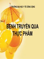 BỆNH TRUYỀN QUA THỰC PHẨM, ĐẠI HỌC Y TẾ CÔNG CỘNG