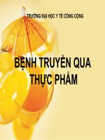 BỆNH TRUYỀN QUA THỰC PHẨM, ĐẠI HỌC Y TẾ CÔNG CỘNG